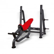 Hattrick-Pro RG-02 Incline Bench Luxury